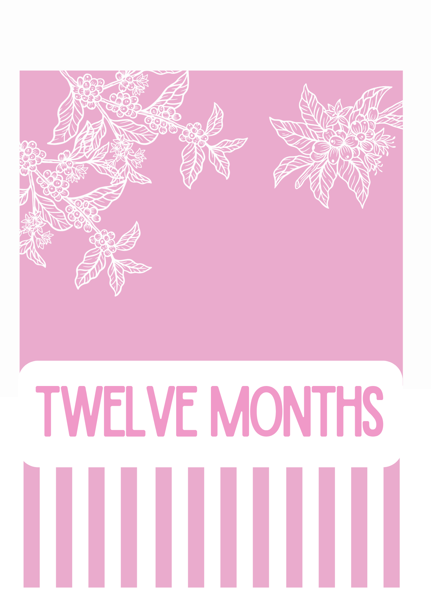 Twelve Months Prepaid Subscription