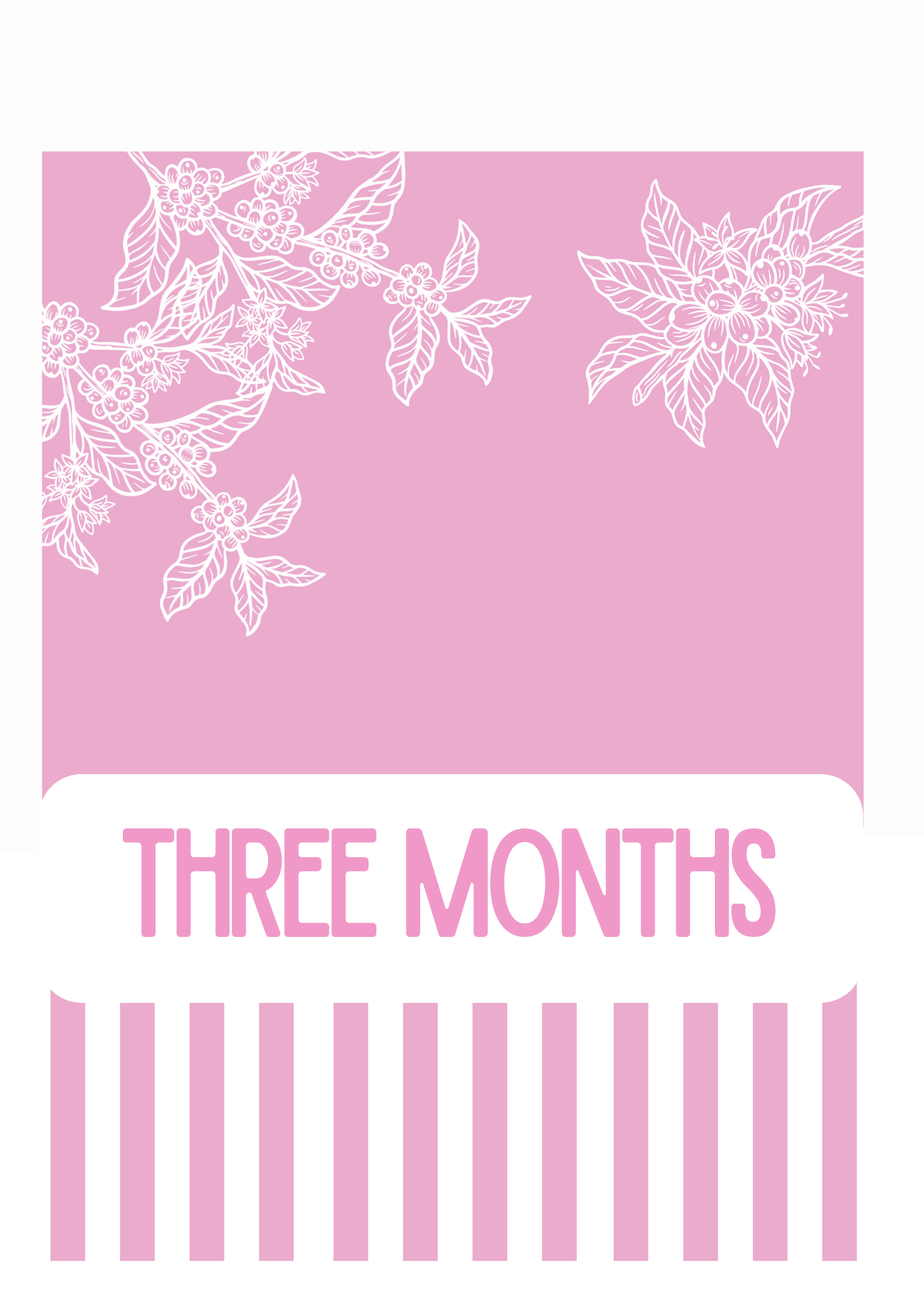 Three Months Prepaid Subscription