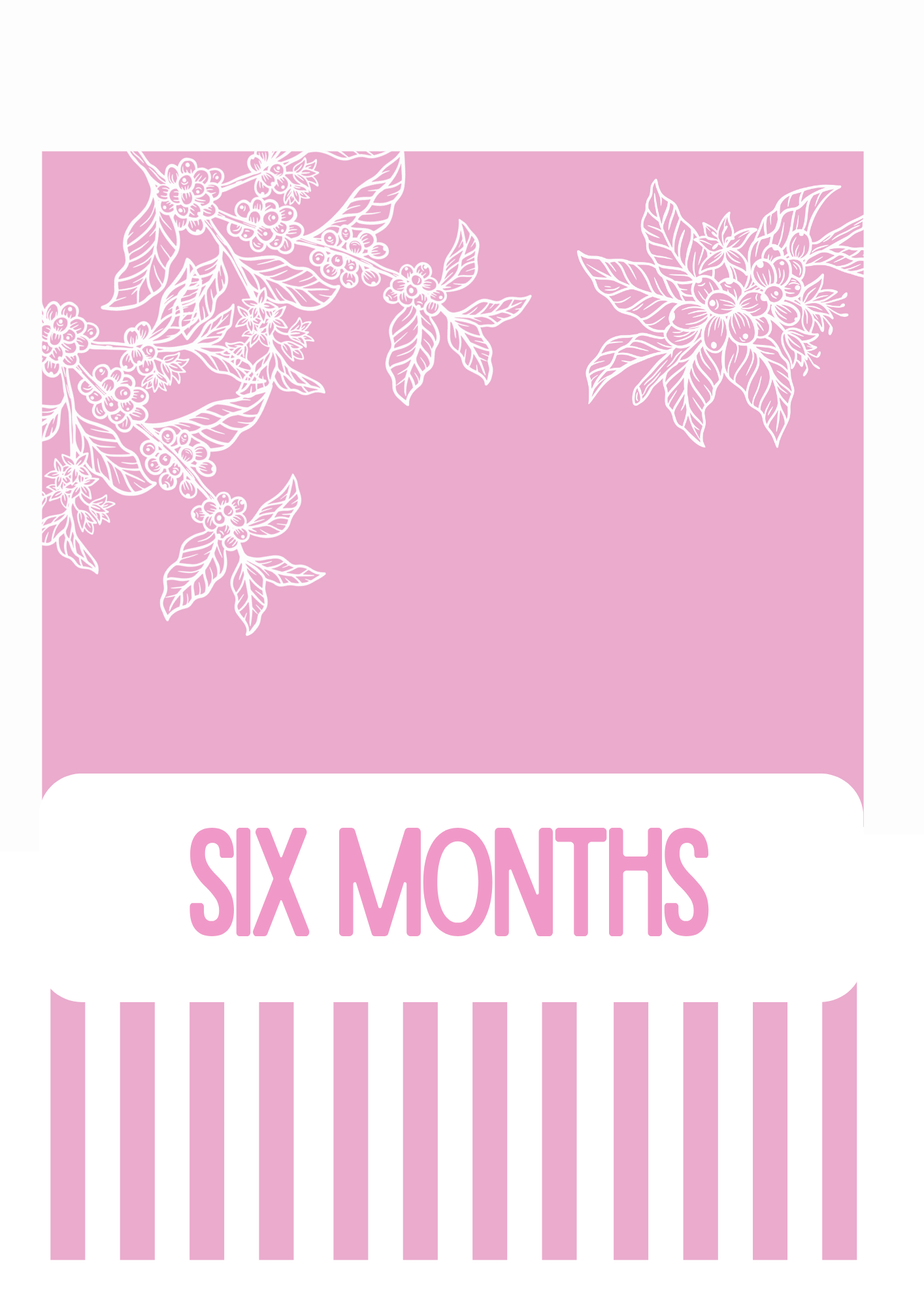 Six Months Prepaid Subscription