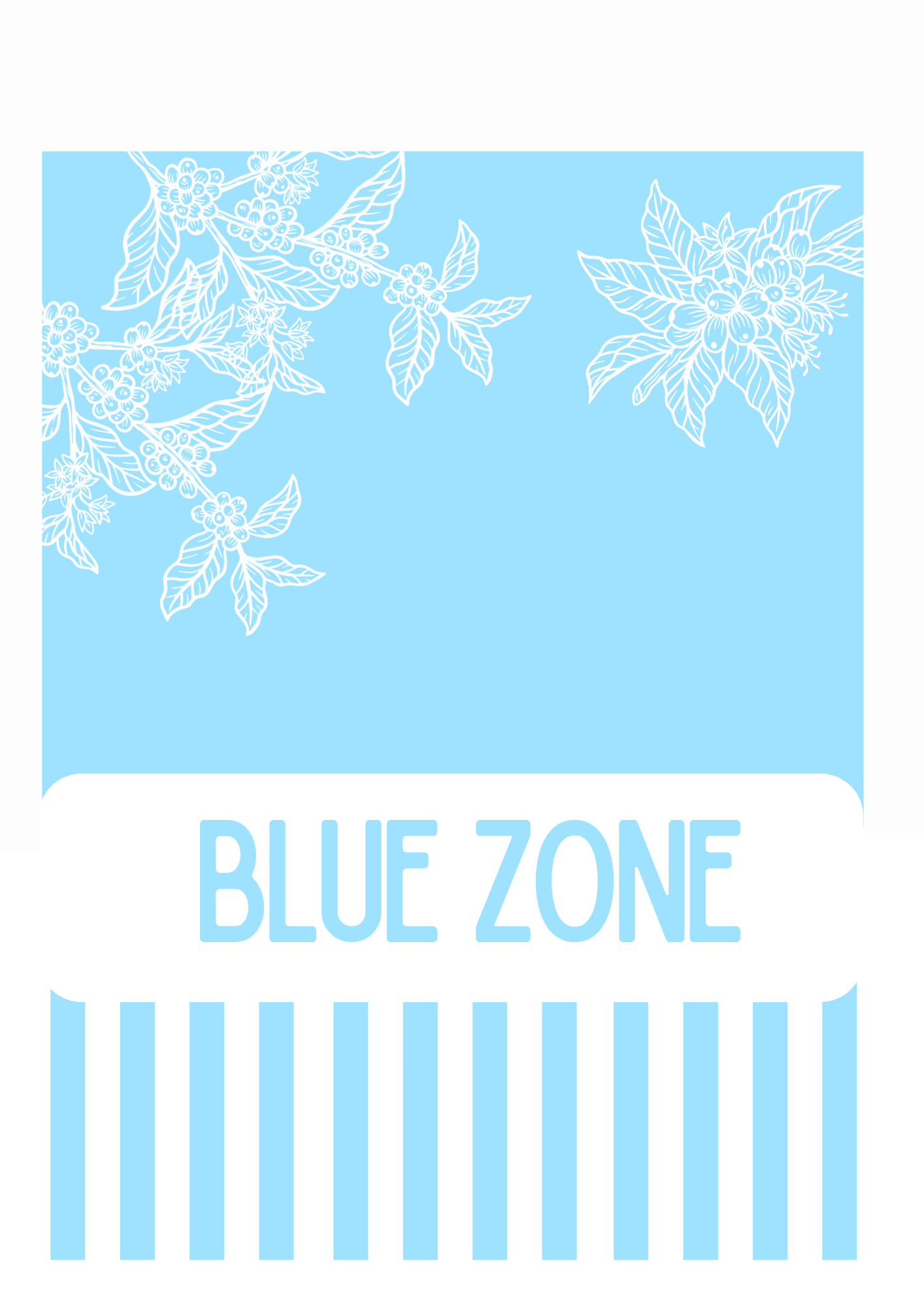 BLUE ZONE Organic Rainforest Coffee Blend