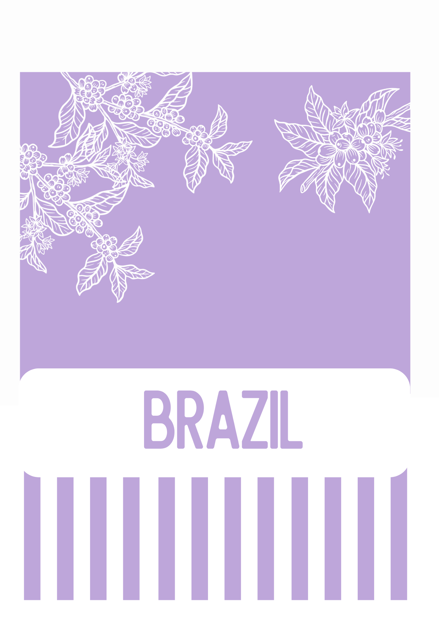 SINGLE ORIGIN Brazil Sitio Terra Boa Coffee Blend