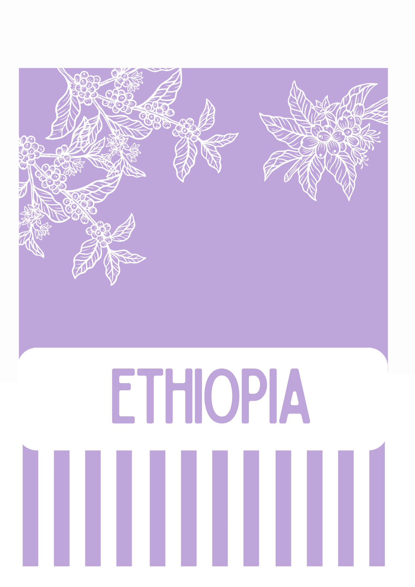 SINGLE ORIGIN Ethiopia Dikitu Coffee Blend